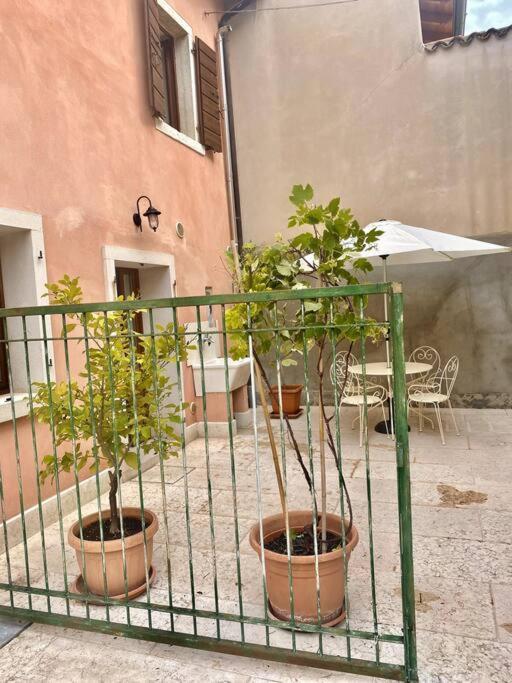 Casa Ca Orsa Villa Cavaion Veronese Dış mekan fotoğraf